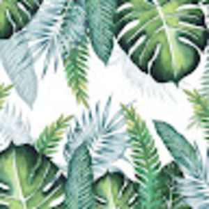 Meet your Posher, Maxine